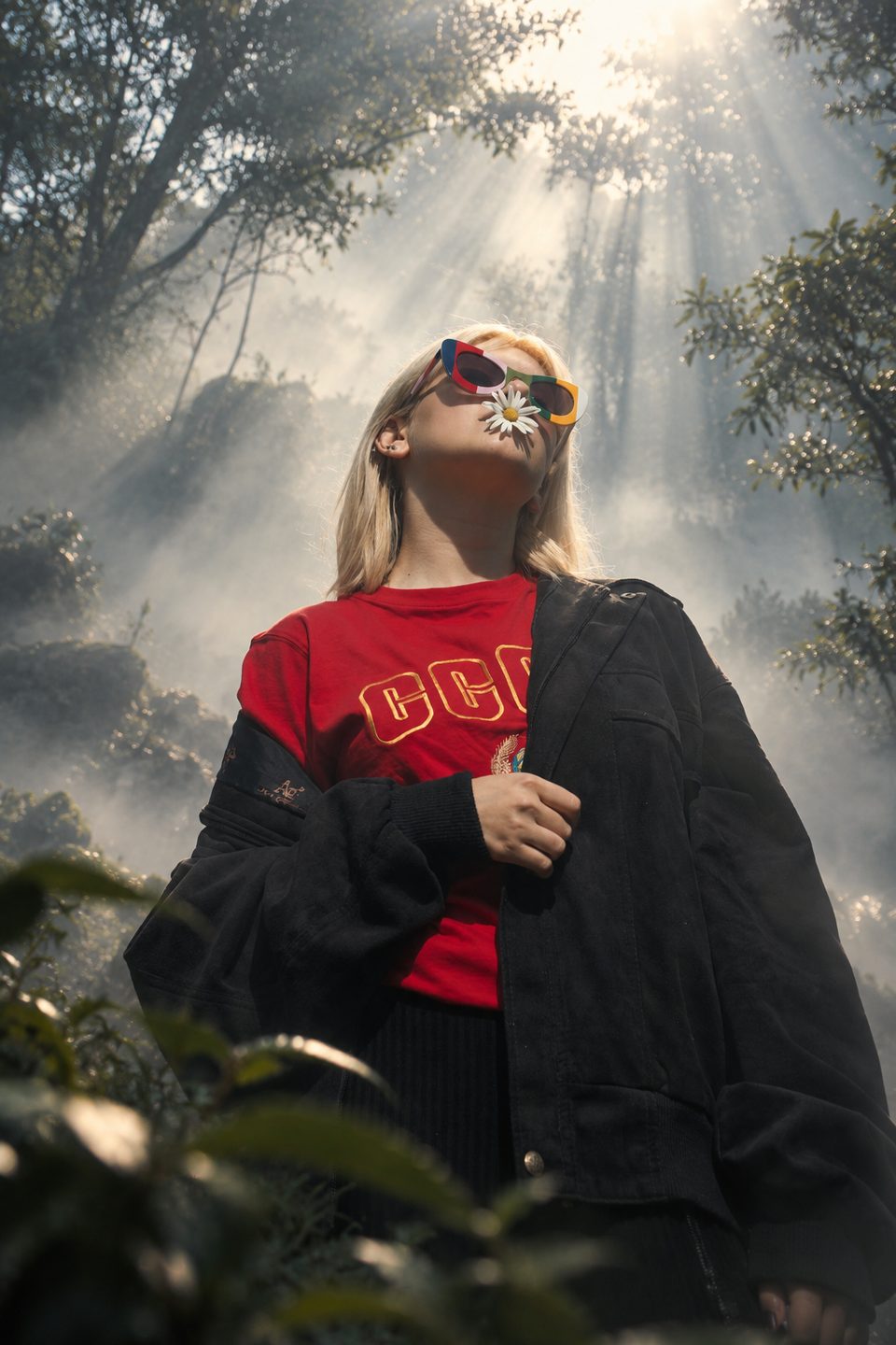 Misty Forest Portrait style example